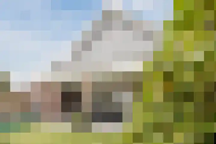 Eeuwsel 5 Nistelrode thumbnail 43