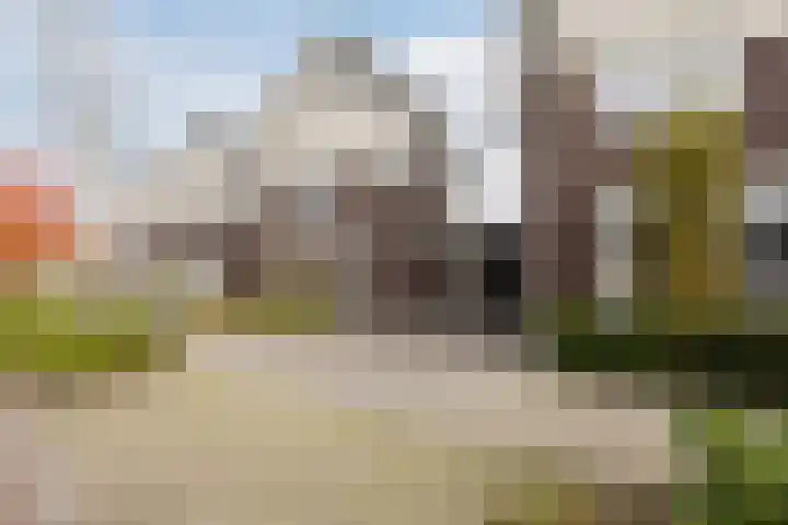 Eeuwsel 5 Nistelrode thumbnail 5