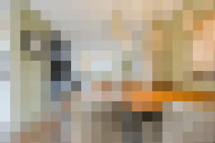 Eeuwsel 5 Nistelrode thumbnail 9