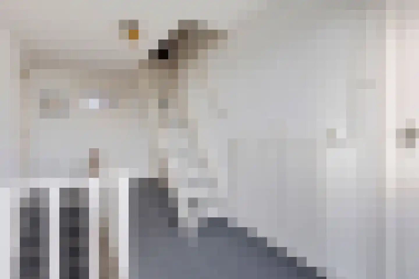 Eewal 37 Burdaard thumbnail 31