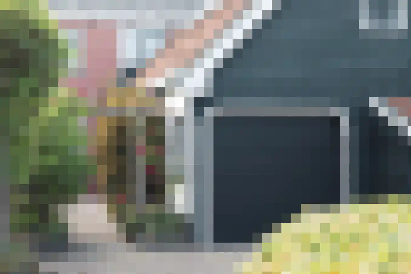 Eewal 37 Burdaard thumbnail 4