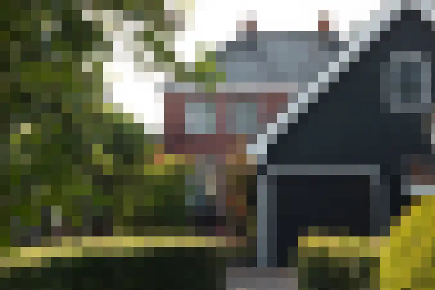 Eewal 37 Burdaard thumbnail 47