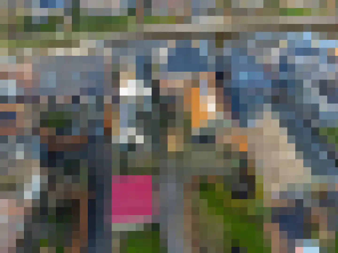 Eewal 37 Burdaard thumbnail 55