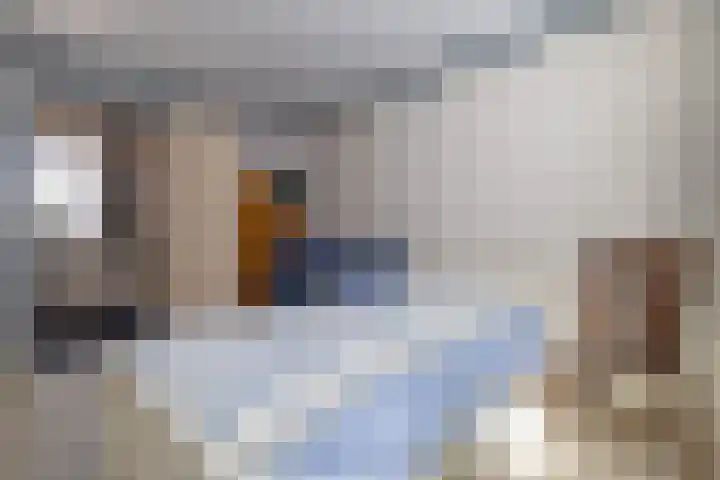 Eewal 51 Burdaard thumbnail 26