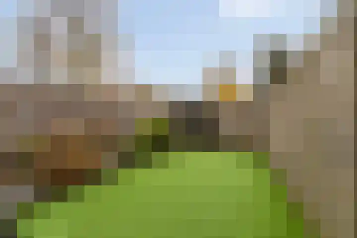 Eewal 51 Burdaard thumbnail 29