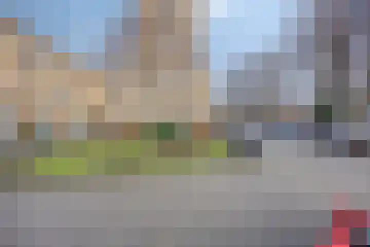 Eewal 51 Burdaard thumbnail 31