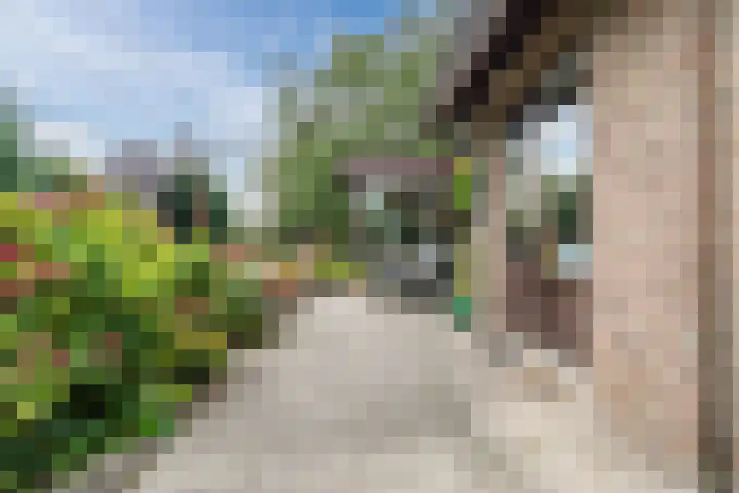 Eewal 51 Burdaard thumbnail 35