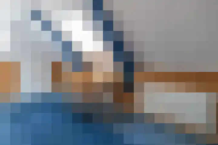 Eewal 51 Burdaard thumbnail 48