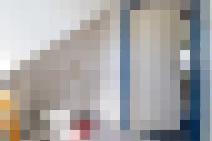 Eewal 51 Burdaard thumbnail 57