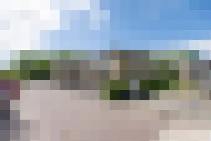 Eewal 51 Burdaard thumbnail 58