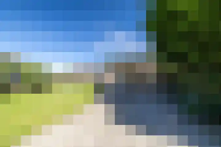 Eewal 51 Burdaard thumbnail 61