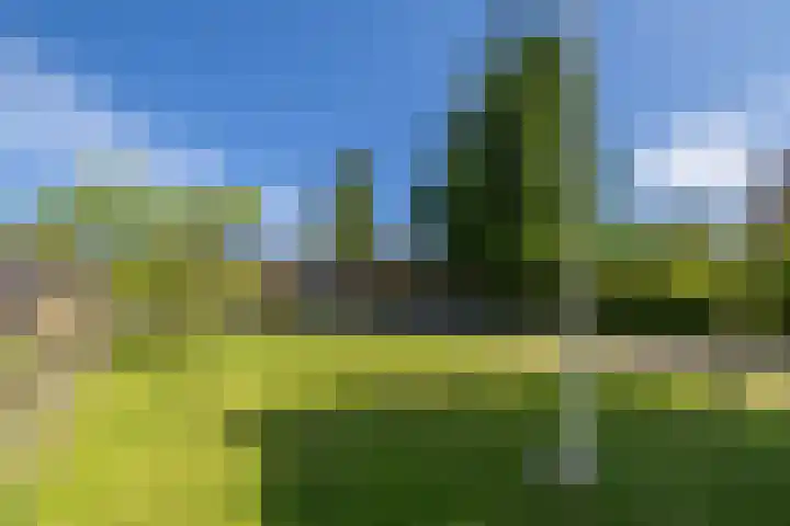 Eewal 51 Burdaard thumbnail 63