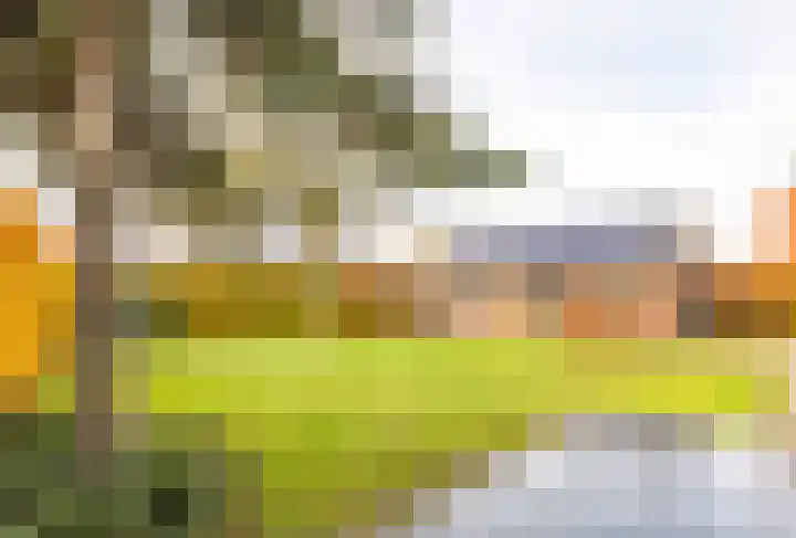 Eewal 51 Burdaard thumbnail 66