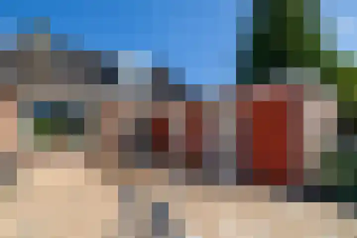 Eewal 51 Burdaard thumbnail 68