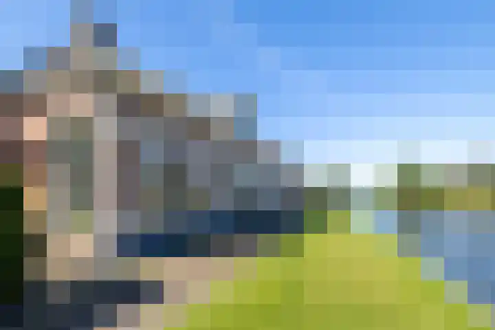 Eewal 51 Burdaard thumbnail 7