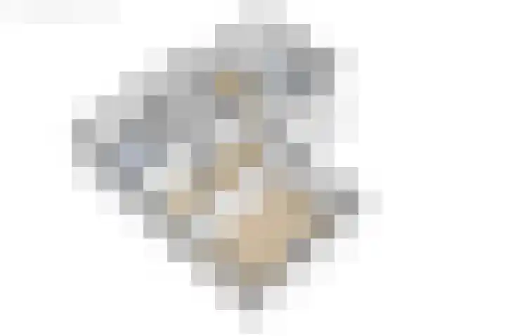 Eewal 51 Burdaard thumbnail 79