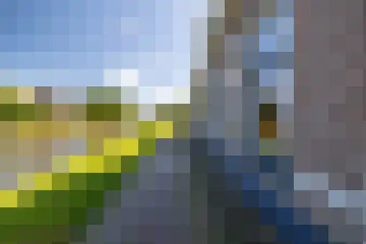 Eewal 51 Burdaard thumbnail 8