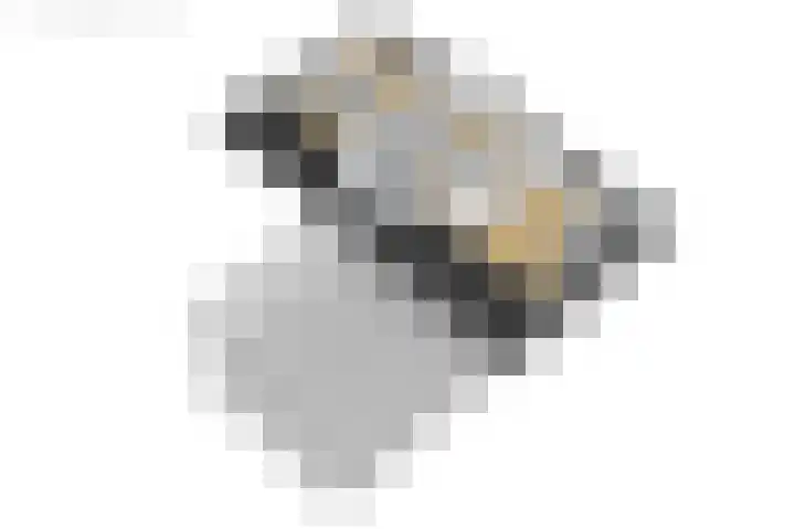 Eewal 51 Burdaard thumbnail 84