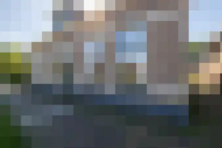 Eewal 51 Burdaard thumbnail 9