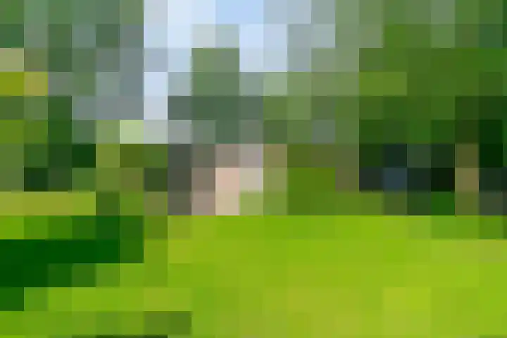 Eexterkoele 16 Eext