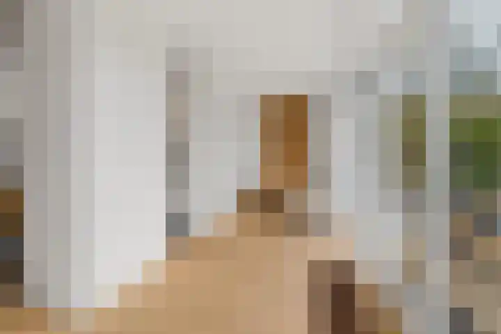 Eexterkoele 29 Eext