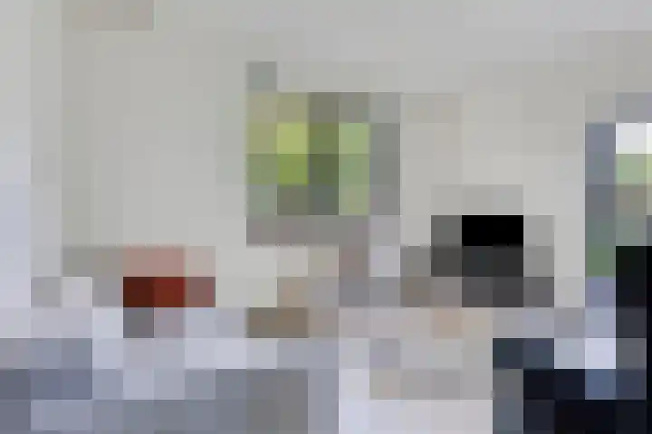 Eexterkoele 4 Eext thumbnail 12