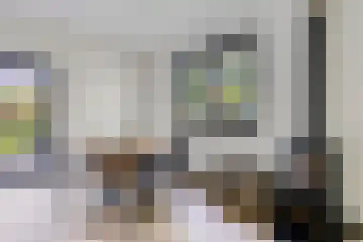 Eexterkoele 4 Eext thumbnail 15
