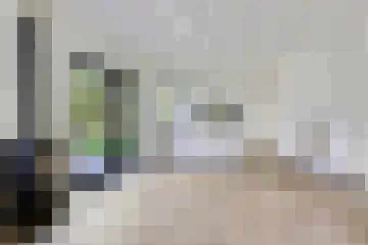 Eexterkoele 4 Eext thumbnail 16
