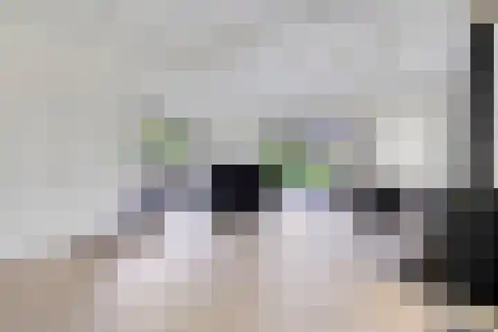 Eexterkoele 4 Eext thumbnail 17
