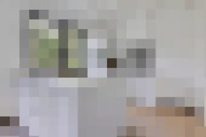Eexterkoele 4 Eext thumbnail 18