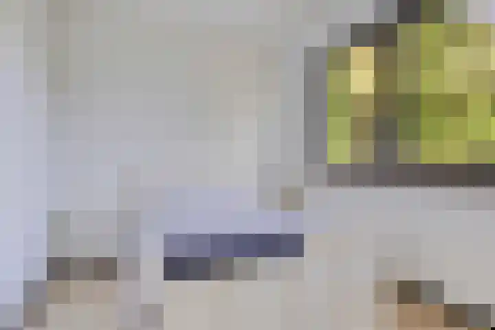 Eexterkoele 4 Eext thumbnail 22