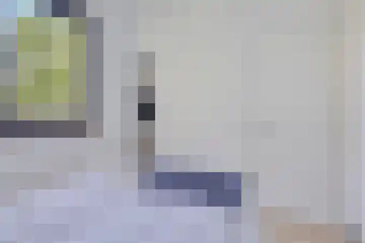 Eexterkoele 4 Eext thumbnail 23