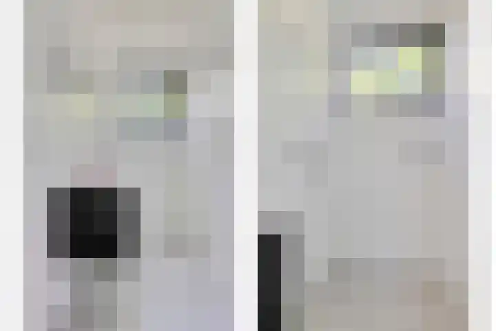 Eexterkoele 4 Eext thumbnail 24