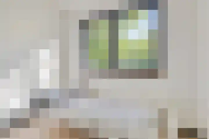Eexterkoele 4 Eext thumbnail 27