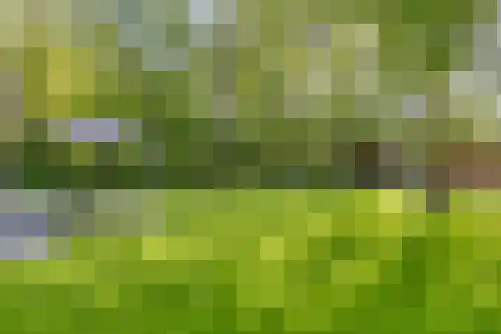 Eexterkoele 4 Eext thumbnail 29