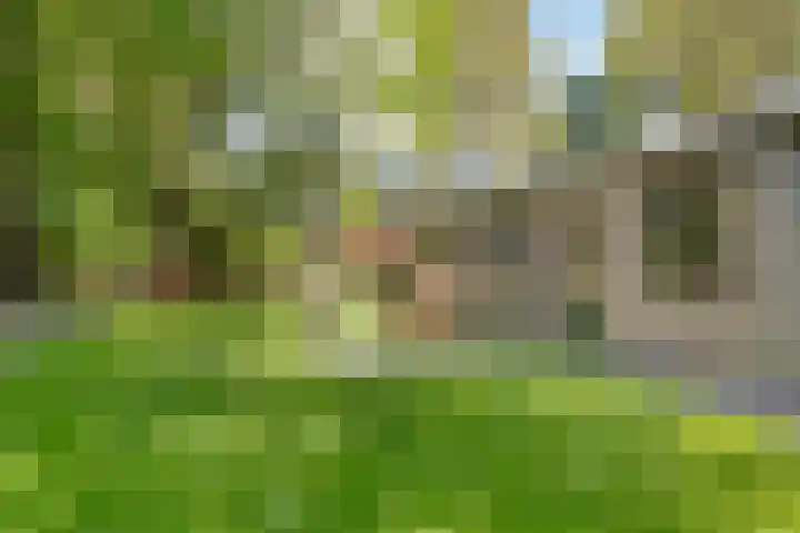 Eexterkoele 4 Eext thumbnail 30