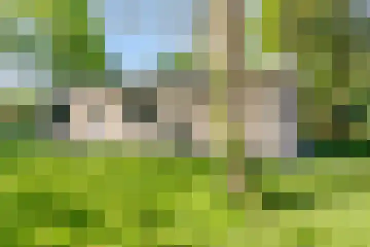 Eexterkoele 4 Eext thumbnail 32