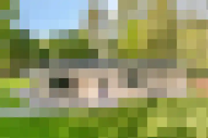 Eexterkoele 4 Eext thumbnail 33