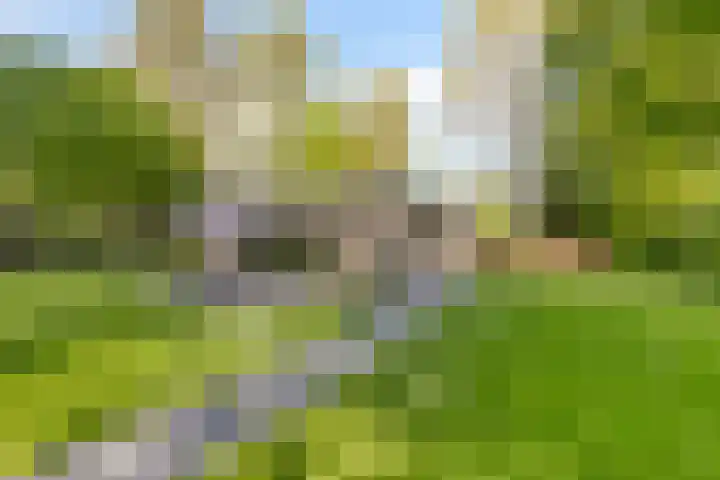 Eexterkoele 4 Eext thumbnail 35