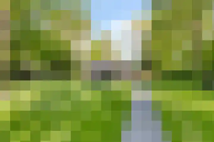 Eexterkoele 4 Eext thumbnail 36