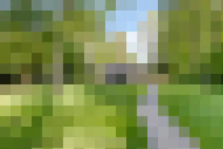 Eexterkoele 4 Eext thumbnail 38