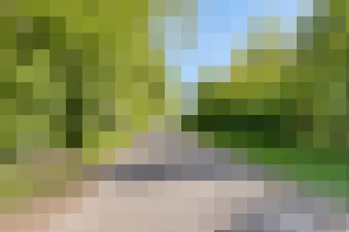 Eexterkoele 4 Eext thumbnail 40