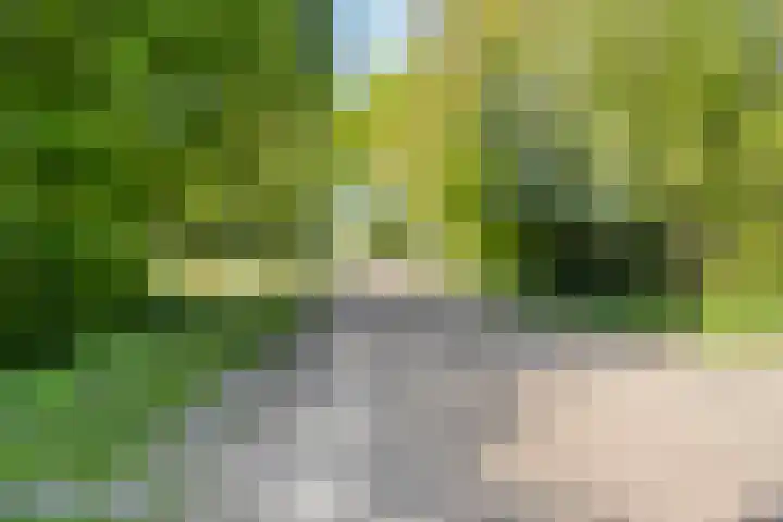 Eexterkoele 4 Eext thumbnail 41
