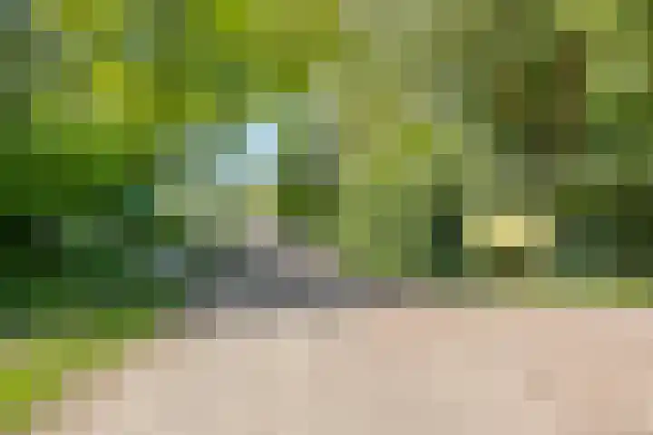 Eexterkoele 4 Eext thumbnail 42