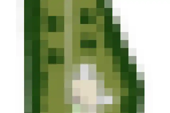 Eexterkoele 4 Eext thumbnail 46