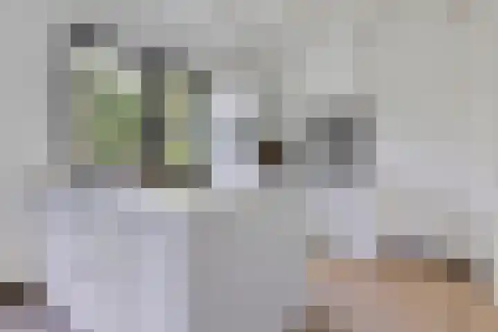 Eexterkoele 4 Eext thumbnail 5