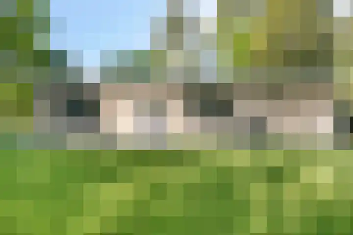 Eexterkoele 4 Eext thumbnail 8