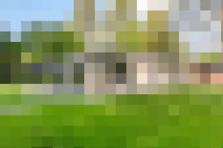 Eexterkoele 4 Eext thumbnail 9