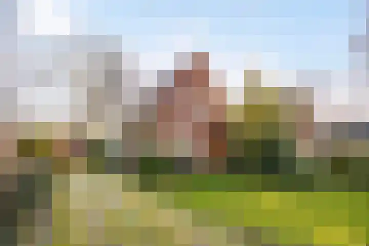 Eexterweg 43 Gieten