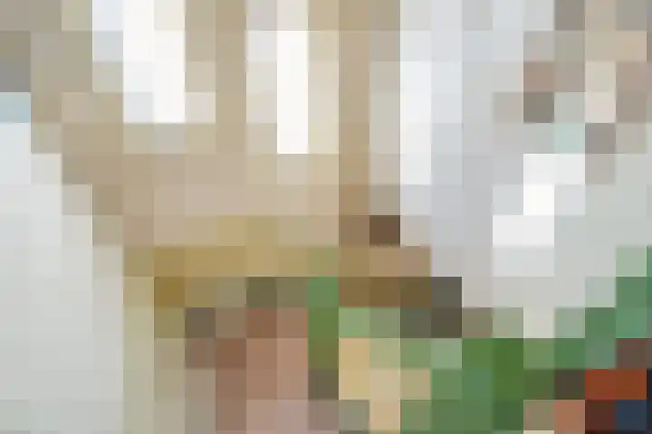 Eexterweg 43 Gieten thumbnail 25